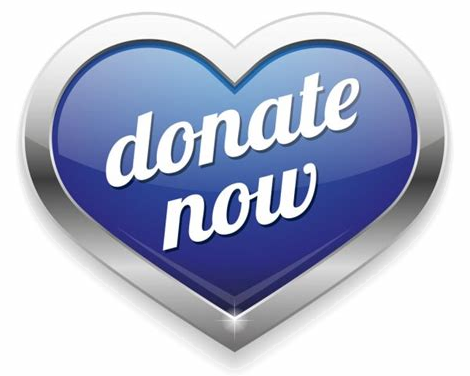 donate now button